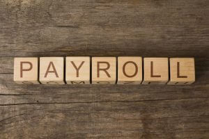 Payroll Services (1)